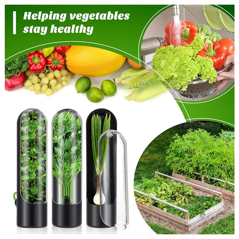 Herb Keeper Container - 1/2/3 stuks kruidenbewaardoosje, vers kruidenhouder, vanille-groenten