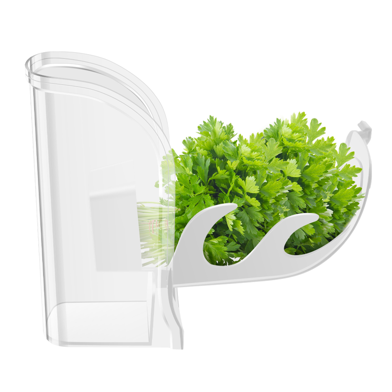 Kruidenscherper Saver Containe - Herb Keeper Container recensie en prijs