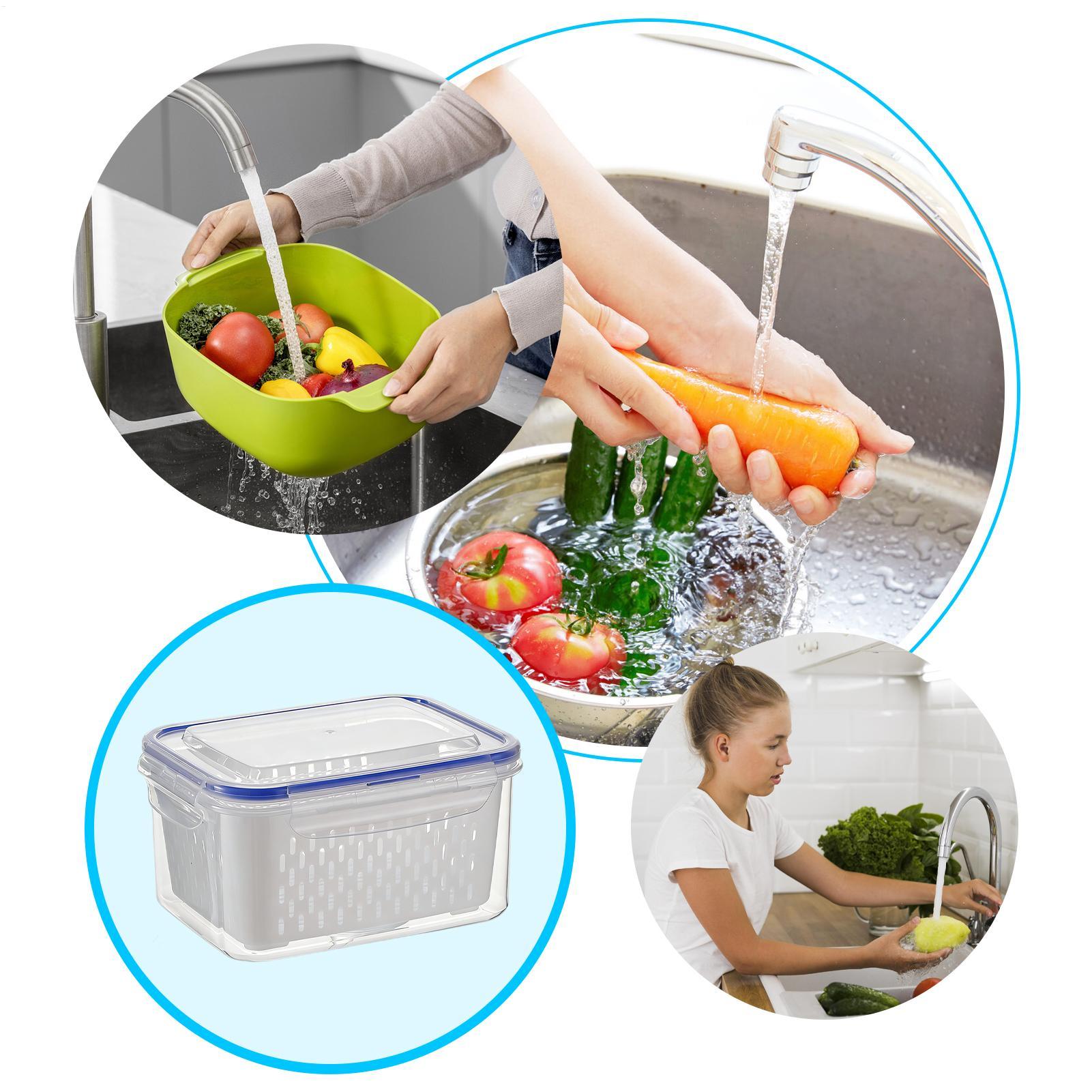 4-in-1 voedselbewaarcontainer  - Food Storage Refrigerator recensie en prijs