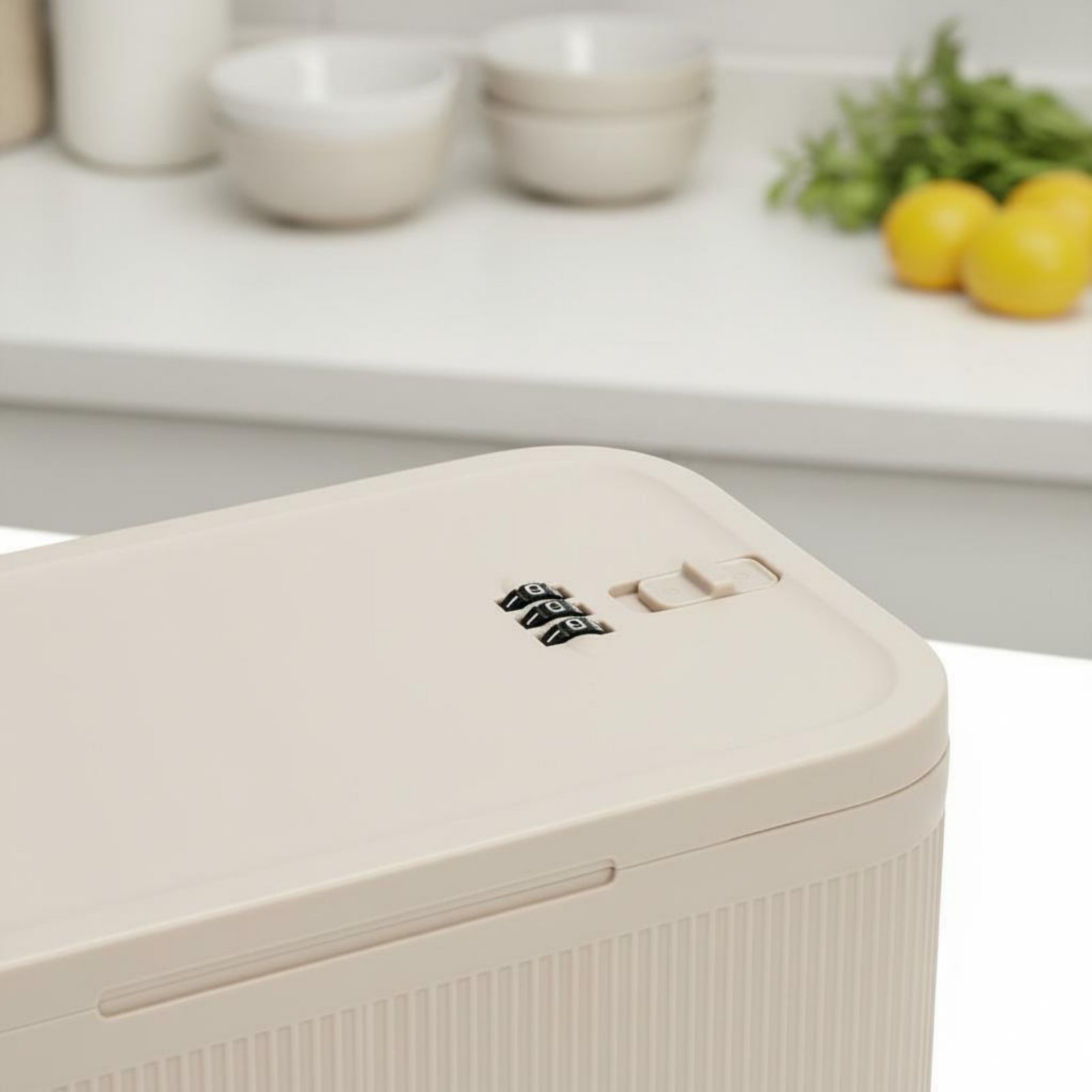 Combinatieslotkast Geurbestend - Food Storage Lock Box recensie en prijs