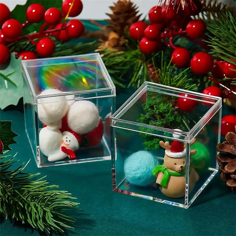 12-delige transparante acryldo - Food Storage Organiser recensie en prijs
