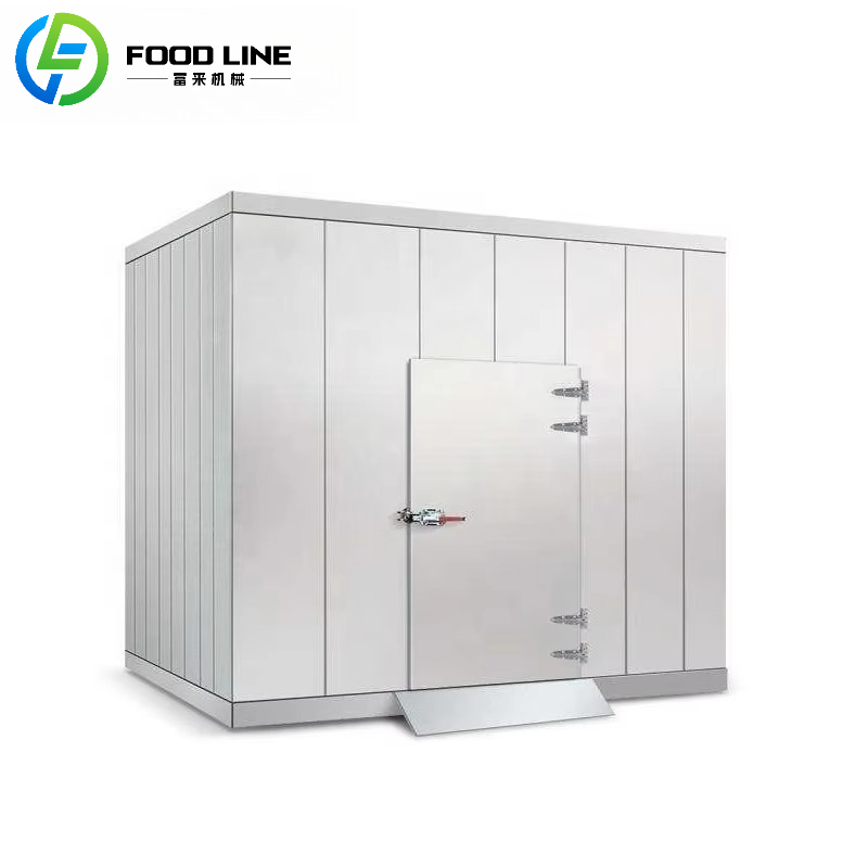 Koelcel voor koude voedselopsl - Food Storage Refrigerator recensie en prijs