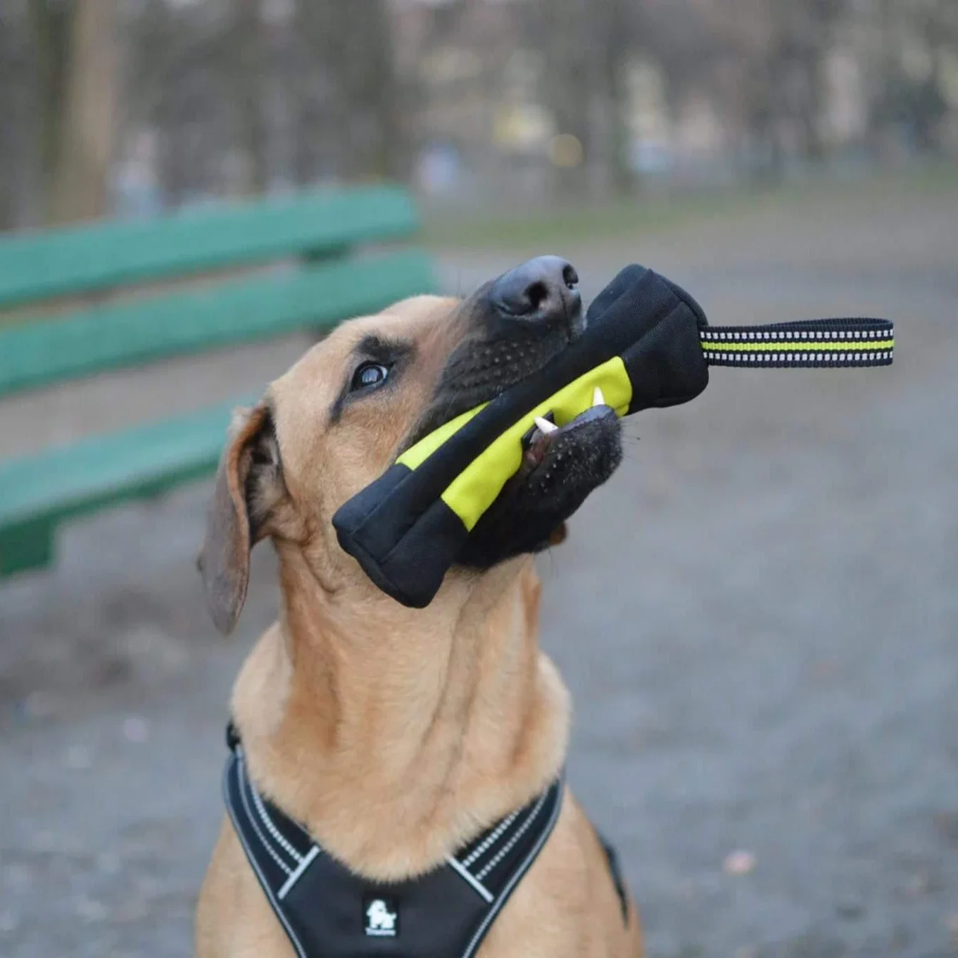 Truelove Hondentraining Retrie - Food Storage Bags Reusable recensie en prijs