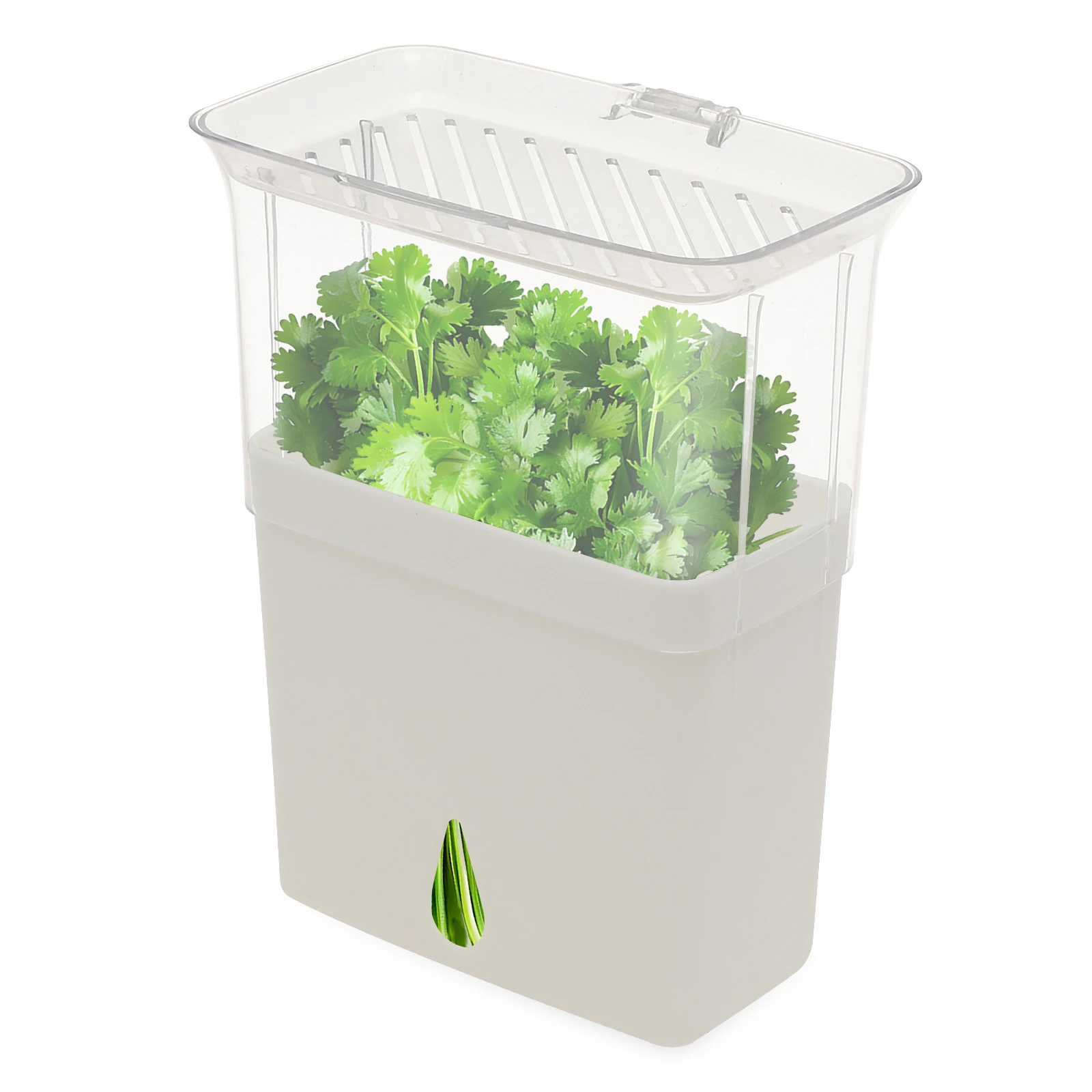 Doorzichtige kruidenbewaarbak, - Herb Keeper Container recensie en prijs