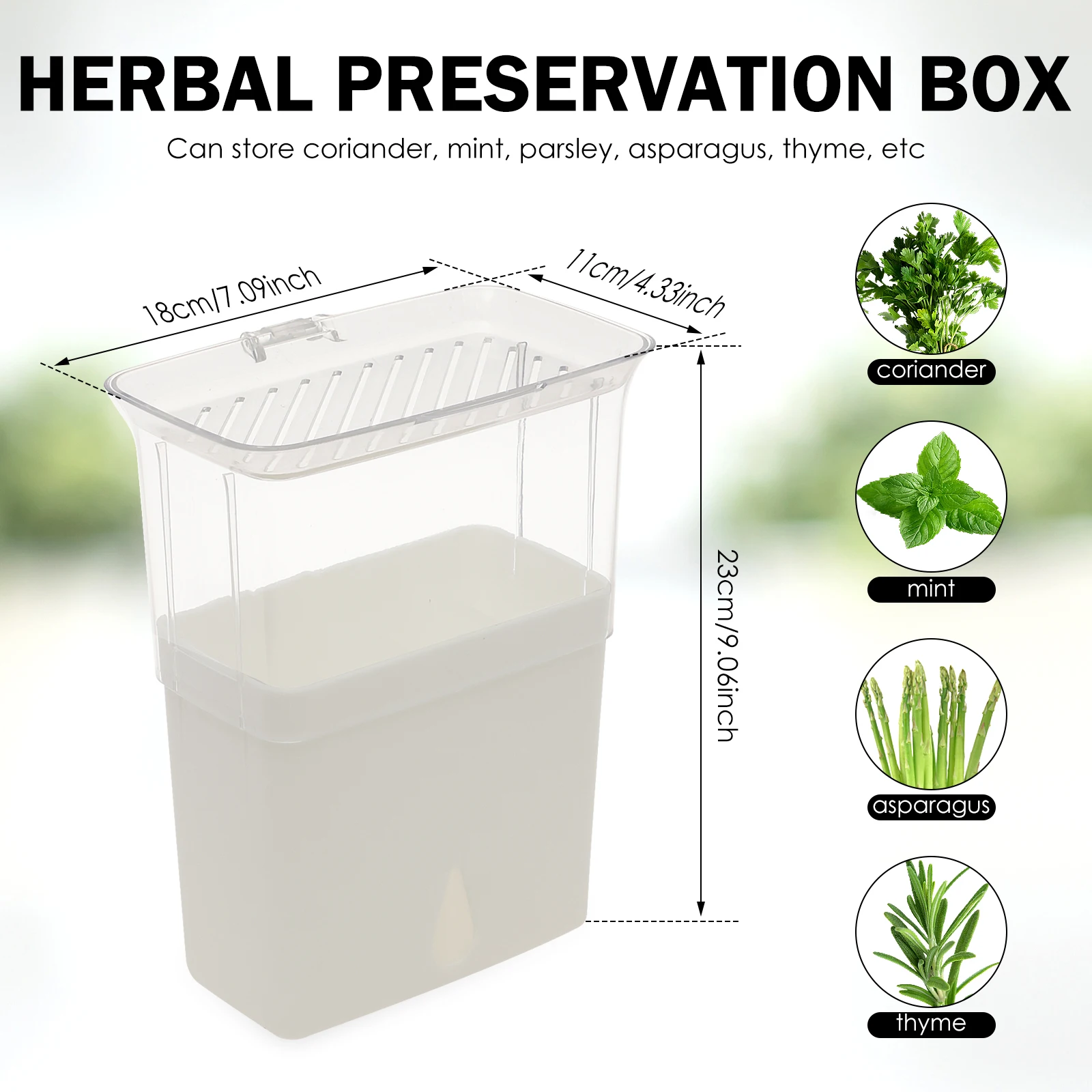Doorzichtige kruidenbewaarbak, - Herb Keeper Container recensie en prijs
