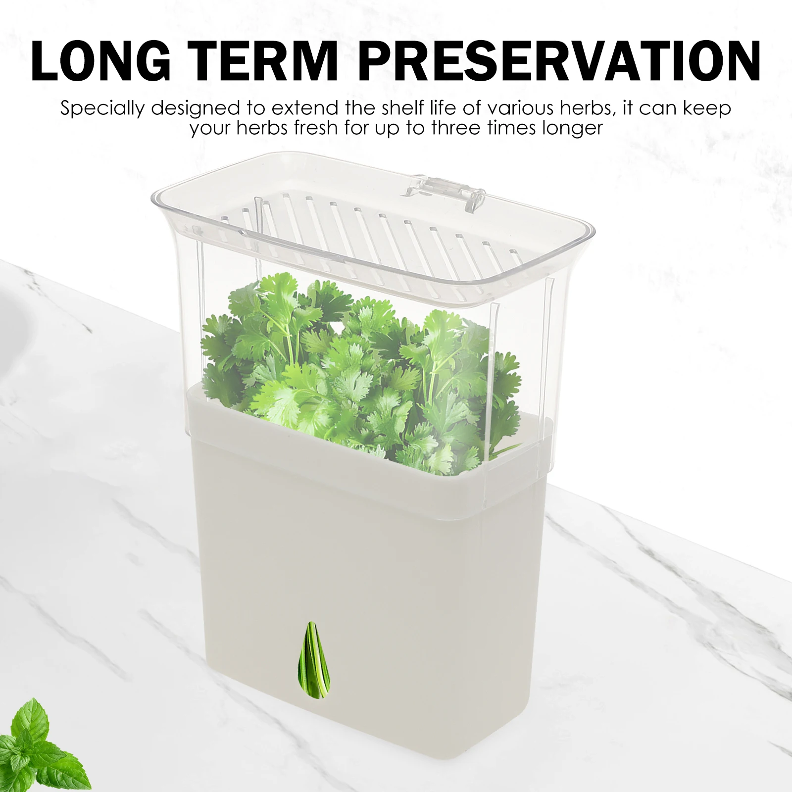 Doorzichtige kruidenbewaarbak, - Herb Keeper Container recensie en prijs